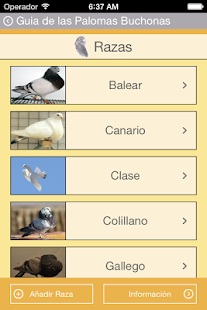 Guide Pouter Pigeons Screenshots 1