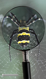 smart magnifier - zoom in poster 3