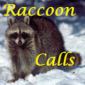 Raccoon Calls icon