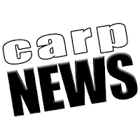 Carp News APK 电影海报图片