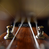 by Debbie Boettcher -  