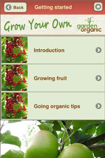 Growing Your Own Organic Fruit(圖5)-速報App