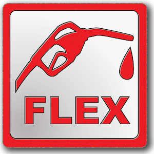 Flex Meter - Refuel it right! 1.1.1