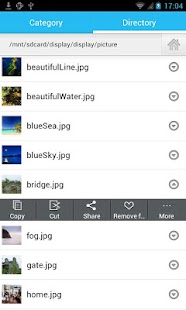 download File Manager free