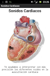 heart sounds demo poster 1