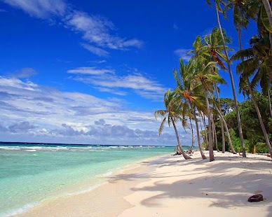 PARADISE WALLPAPERS Screenshots 4