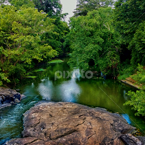 by MaSs Balasooriya - Instagram & Mobile Other