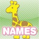 Baby Names