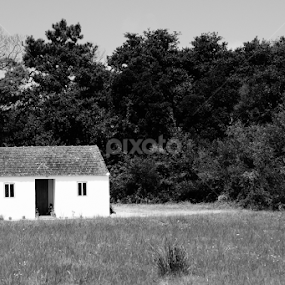 by Bernardo Carmo - Black & White Landscapes