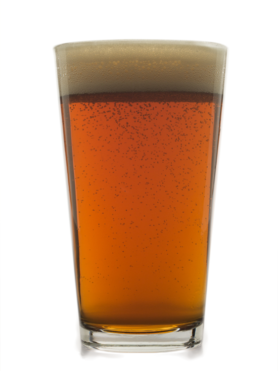 Logo of Dam Extra Pale Ale