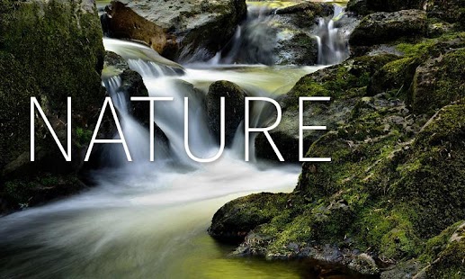Lastest Animal Sounds APK for Android