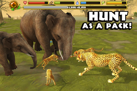 Cheetah Simulator(圖2)-速報App