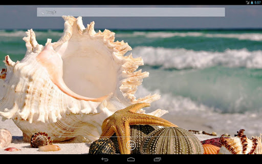 【免費個人化App】Shells HD Live Wallpaper-APP點子