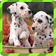 Puppy Games - Spot Differences APK