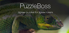 Lizard Jigsaw Puzzles Demo APK