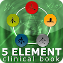 Five Element Clinic Book