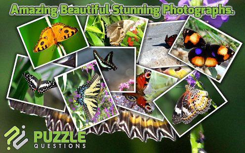 Free Butterfly Puzzle Games Screenshots 1