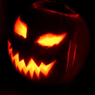 Download Pumpkins Great Live Wallpapers APK