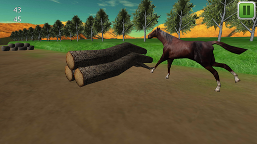 Horse Jumping 3D