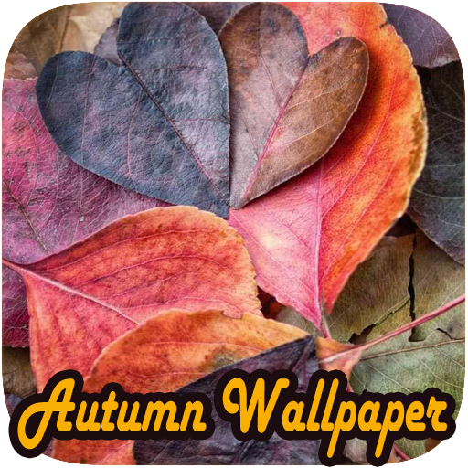 Beautiful Nature Autumn 個人化 App LOGO-APP開箱王