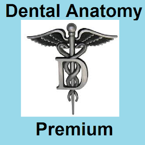 Dental Anatomy Premium.apk 1.0.00