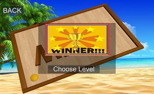 Survivor Fire Ball Maze 3D Screenshots 12