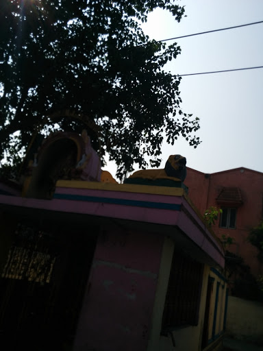 Sree Senkazhiniyamman Temple