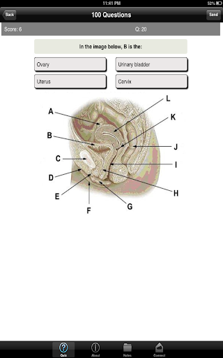 【免費教育App】Learning Urology Quiz-APP點子