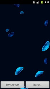How to install JellyFish lastet apk for android