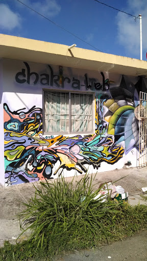 Mural Shakra