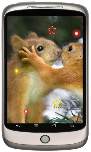 Squirrel Dance live wallpaper