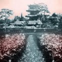 Asian Landscape Live Wallpaper logo