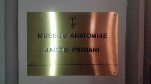 Museum Anatomiae