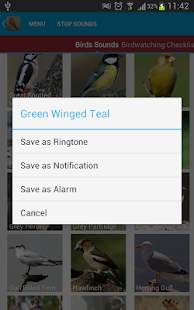 Spanish Birds Sounds Free(圖7)-速報App