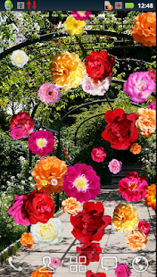 Roses of Rome Live Wallpaper(圖7)-速報App