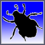 Bug Taps 1.0 Icon