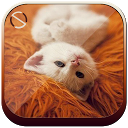 Cute Cat - Start Theme mobile app icon