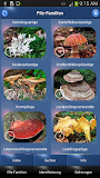 Pilz Id, Die Pilze Sammeln App