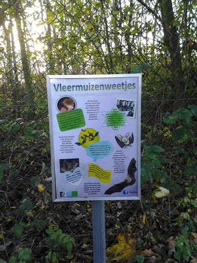 Things You must Know about Bat Living in Prinsenbos