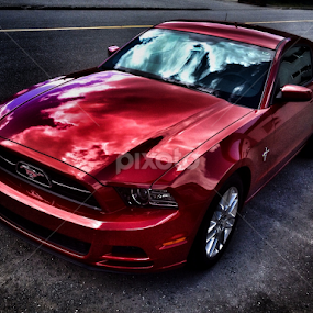 Mustang GT by Todd Bellamy - Transportation Automobiles