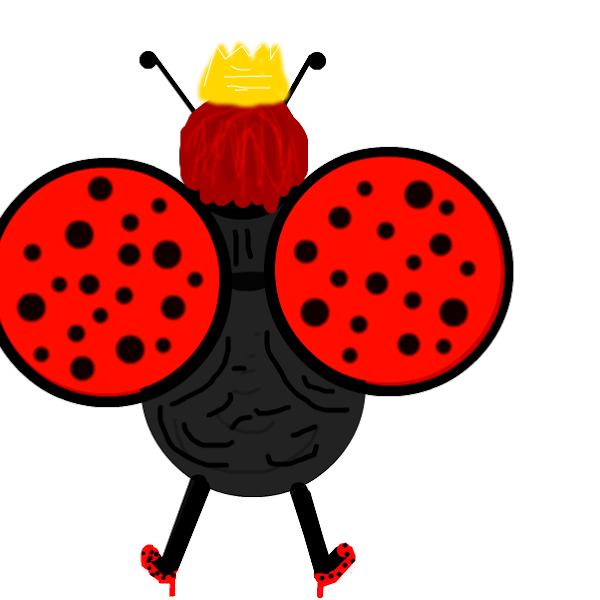 lady-bug-d-drawings-sketchport