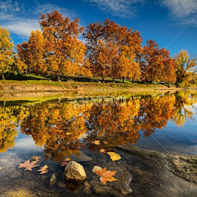 Hoje o dia dos balões deu nisto também !!! :) Como eu gosto do Outono.Foi um dia com excelente companhia ! :) by Paulo Remédios - City,  Street & Park City Parks