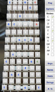 Electric Guitar Fretboard(圖3)-速報App