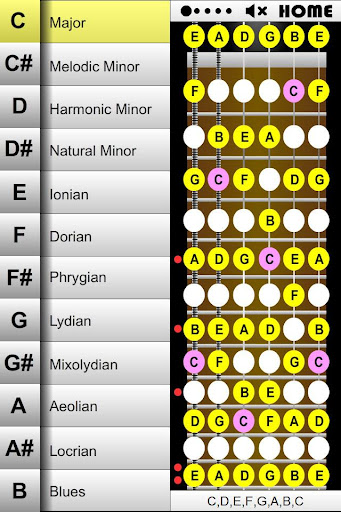 Guitar Family 60 Scales