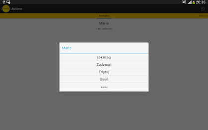 Localizer Offline : Cracow poster 7