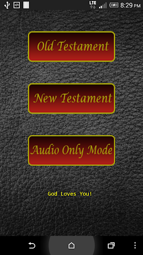 Audio Bible NIV