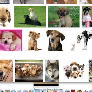 Dog Lovers.apk 5