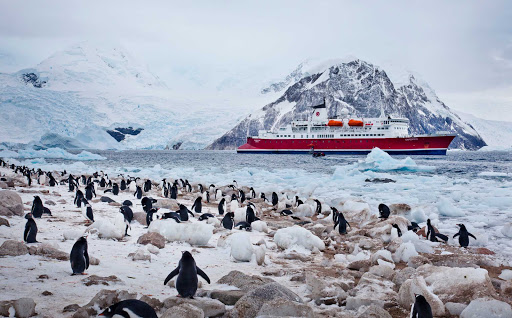 Antarctica-Expedition-Ice-Penguins - A large group of penguins spotted in Antarctica, photographed during a G Adventures expedition.