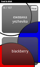 Learn Russian Deluxe poster 8