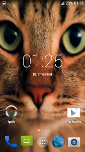 Wonderful Cat Live Wallpaper(圖1)-速報App
